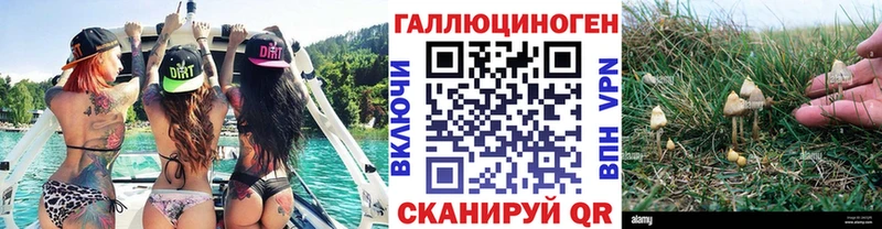 купить  сайты  kraken ТОР  Галлюциногенные грибы Psilocybine cubensis  Ноябрьск 